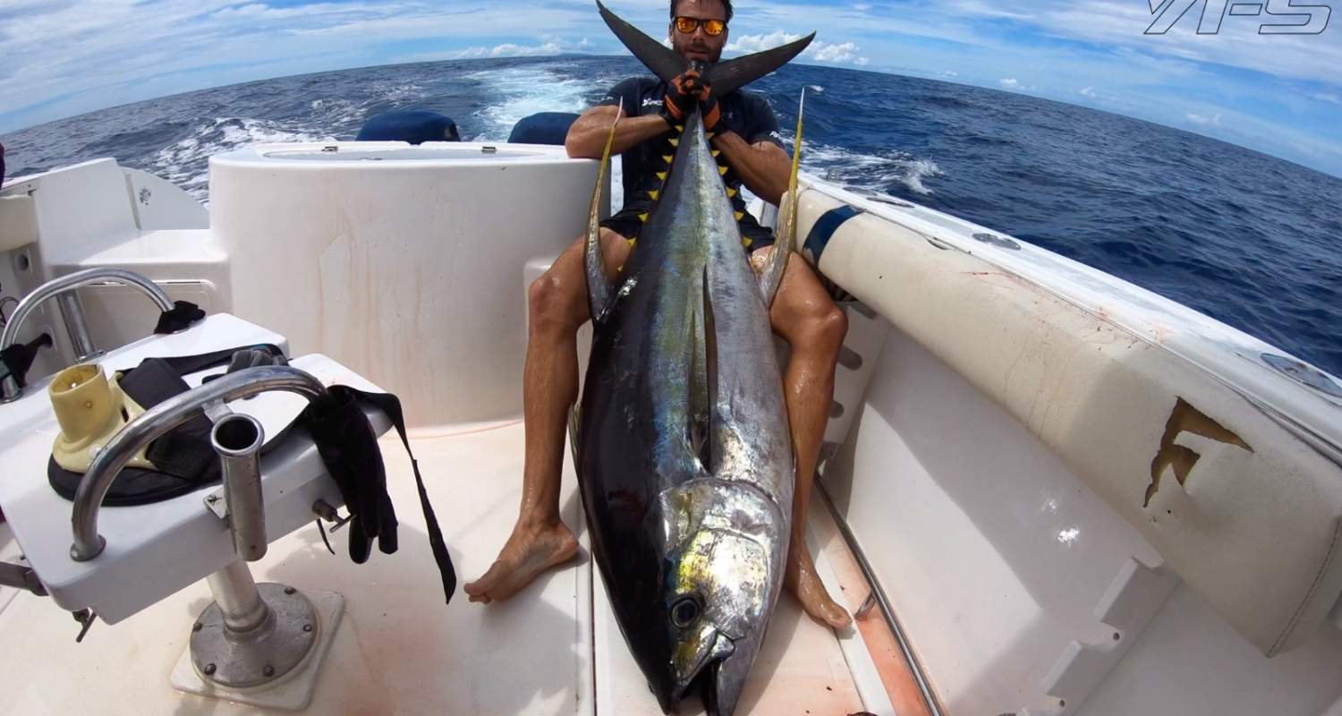 Yellowfin Tuna Farquhar Seychelles