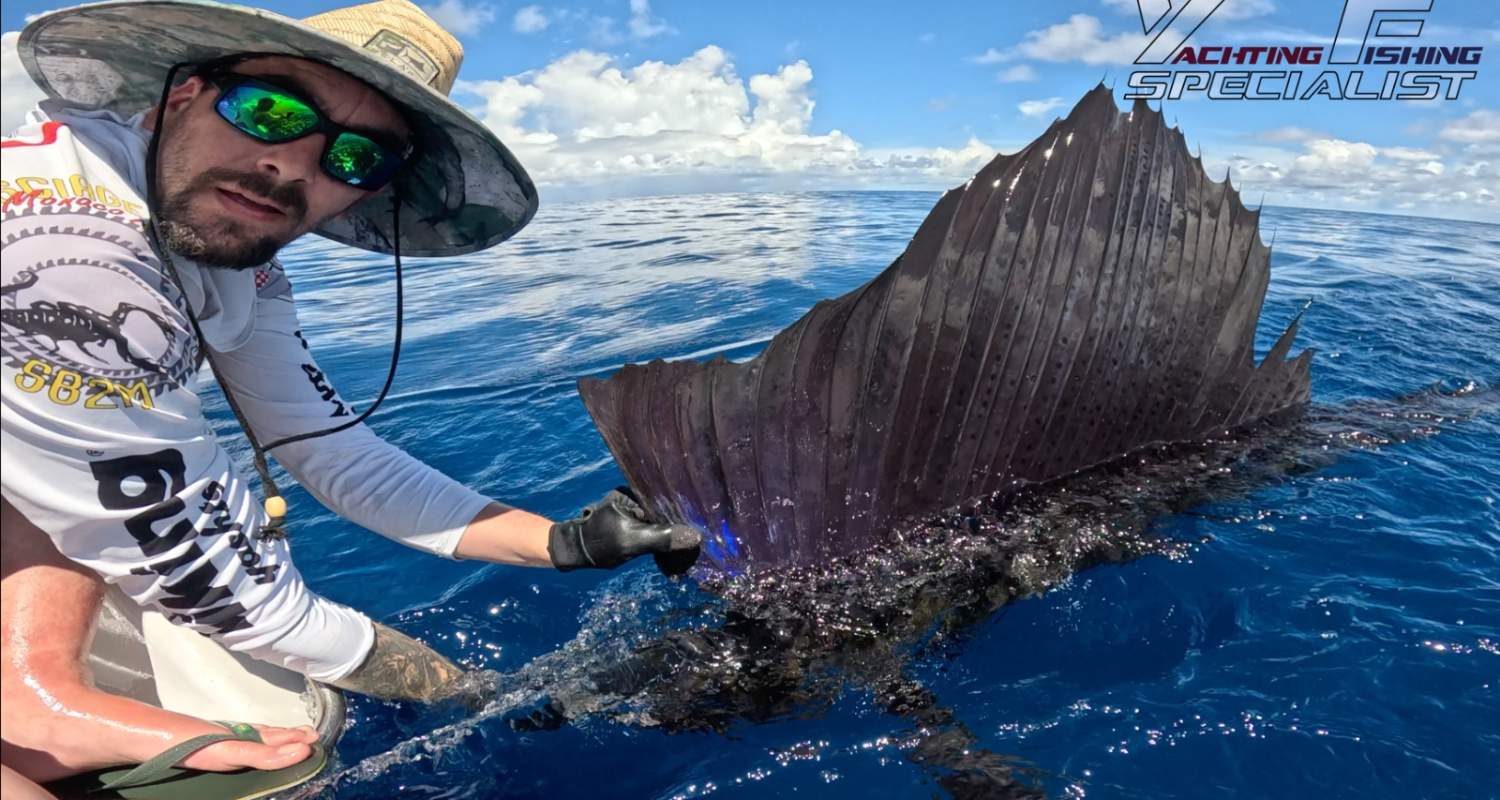 Sailfish Farquhar Seychelles