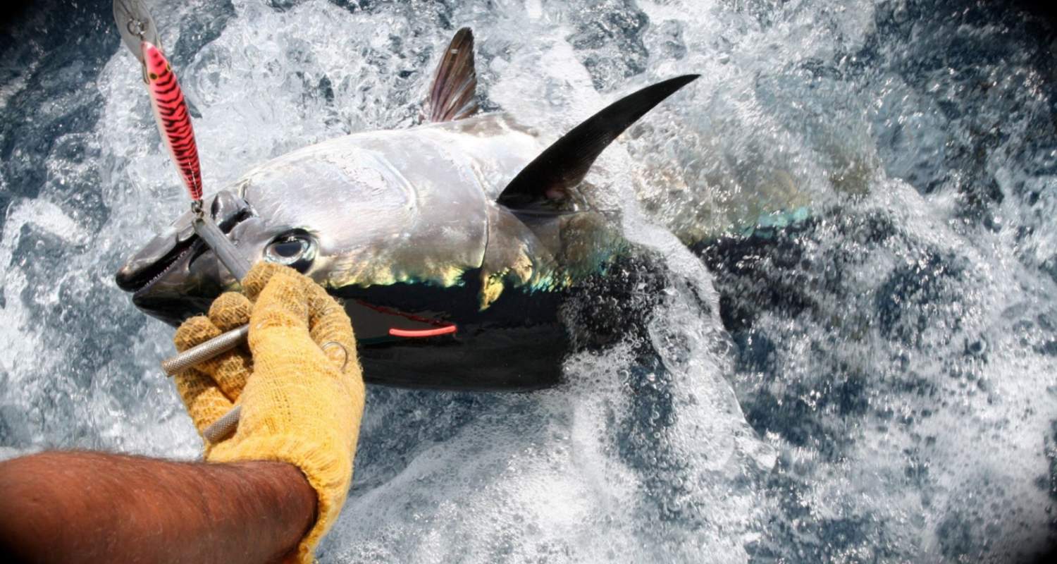 Fishing trip Monaco charter