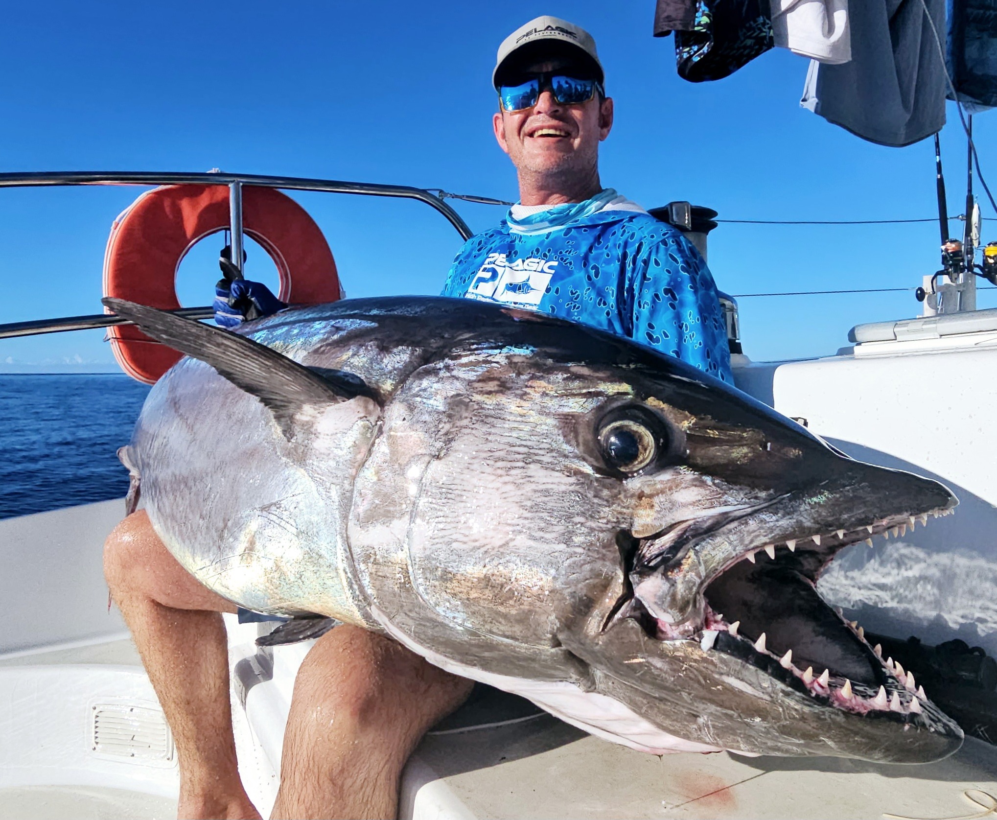 Dogtooth tuna