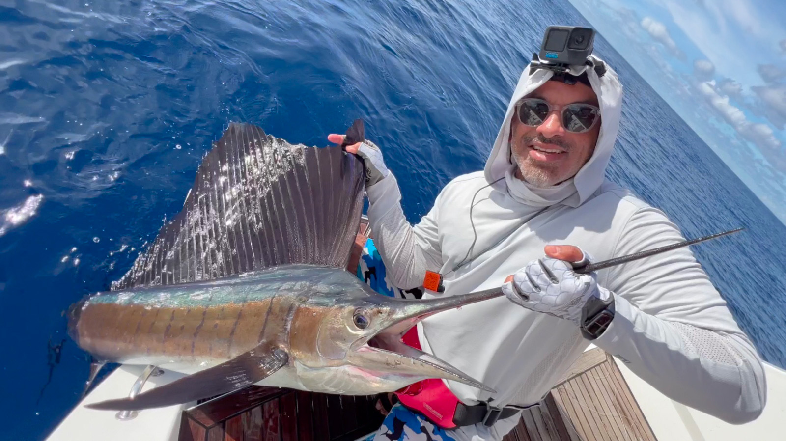 Sailfish