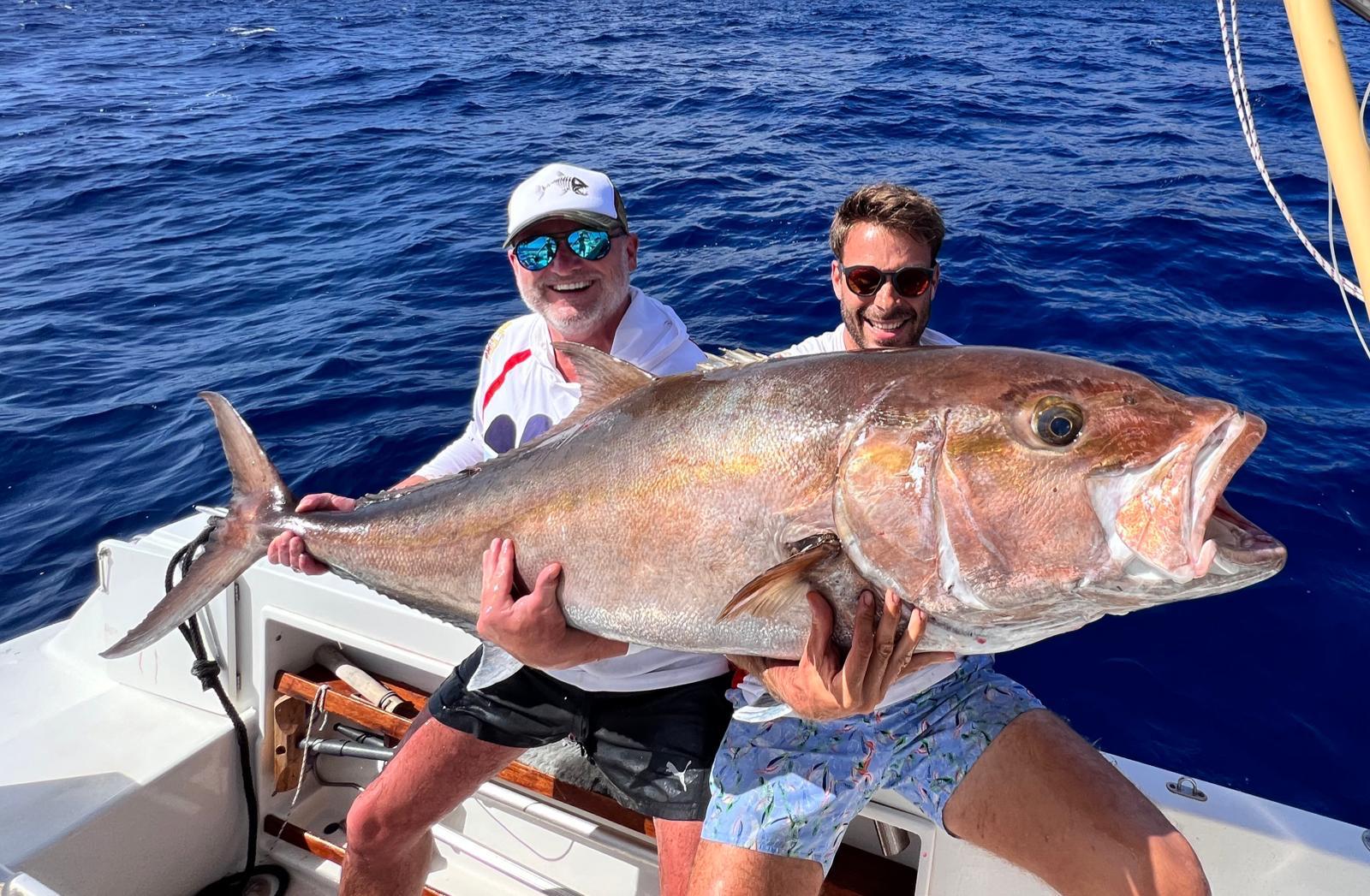 Amberjack