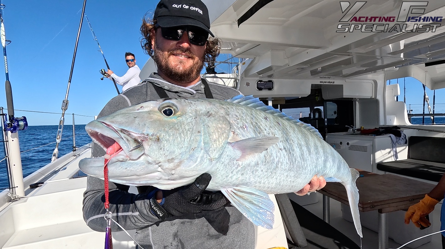 Jobfish