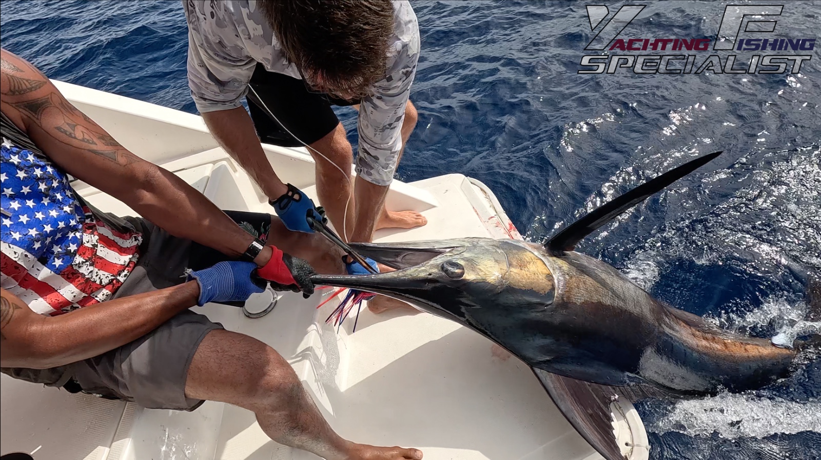 Black marlin
