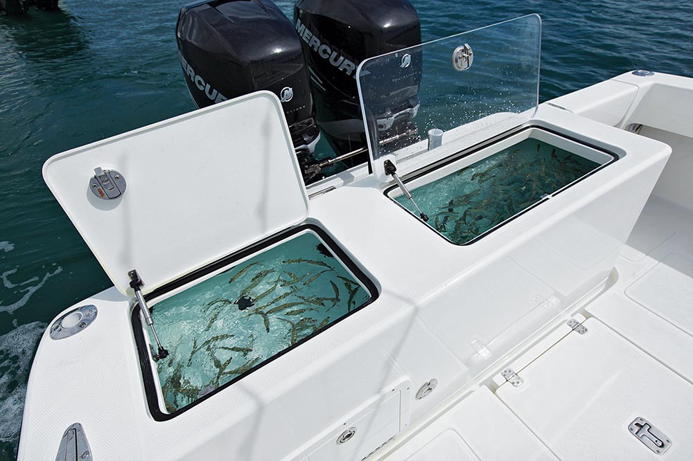 Livebait