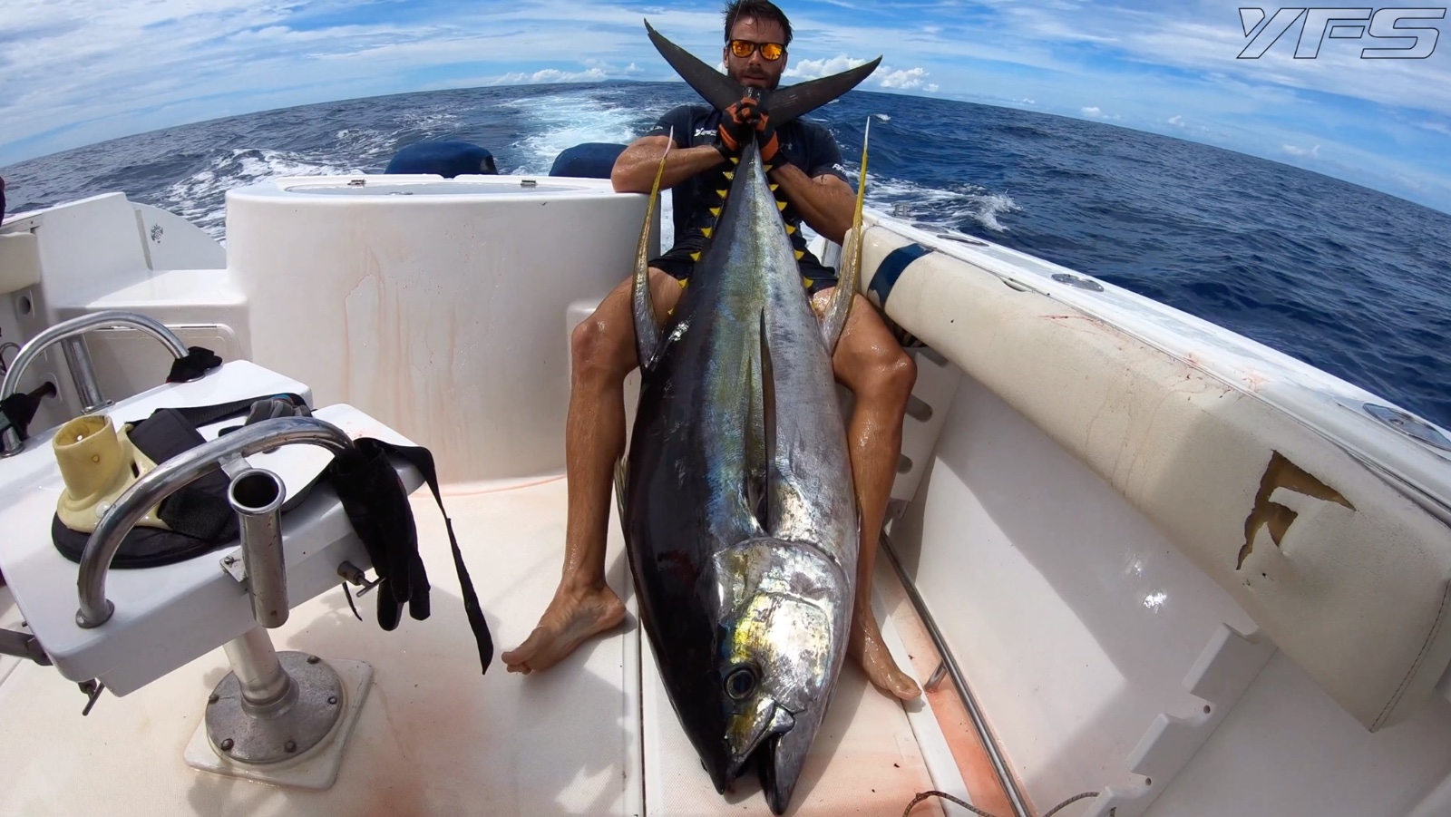 Yellowfin tuna