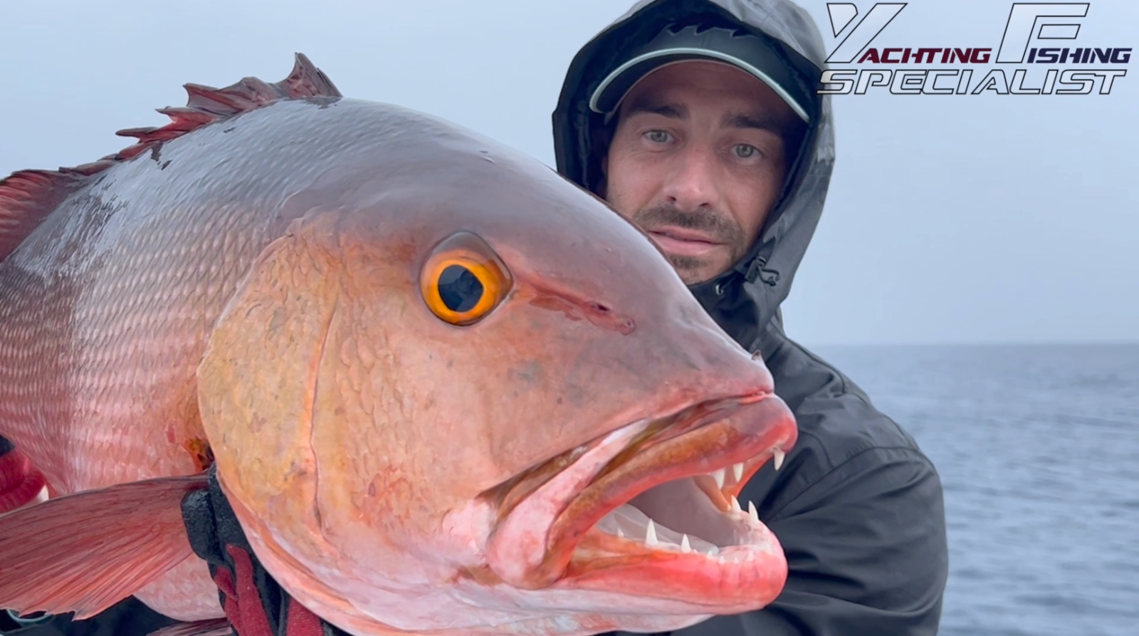 Red snapper