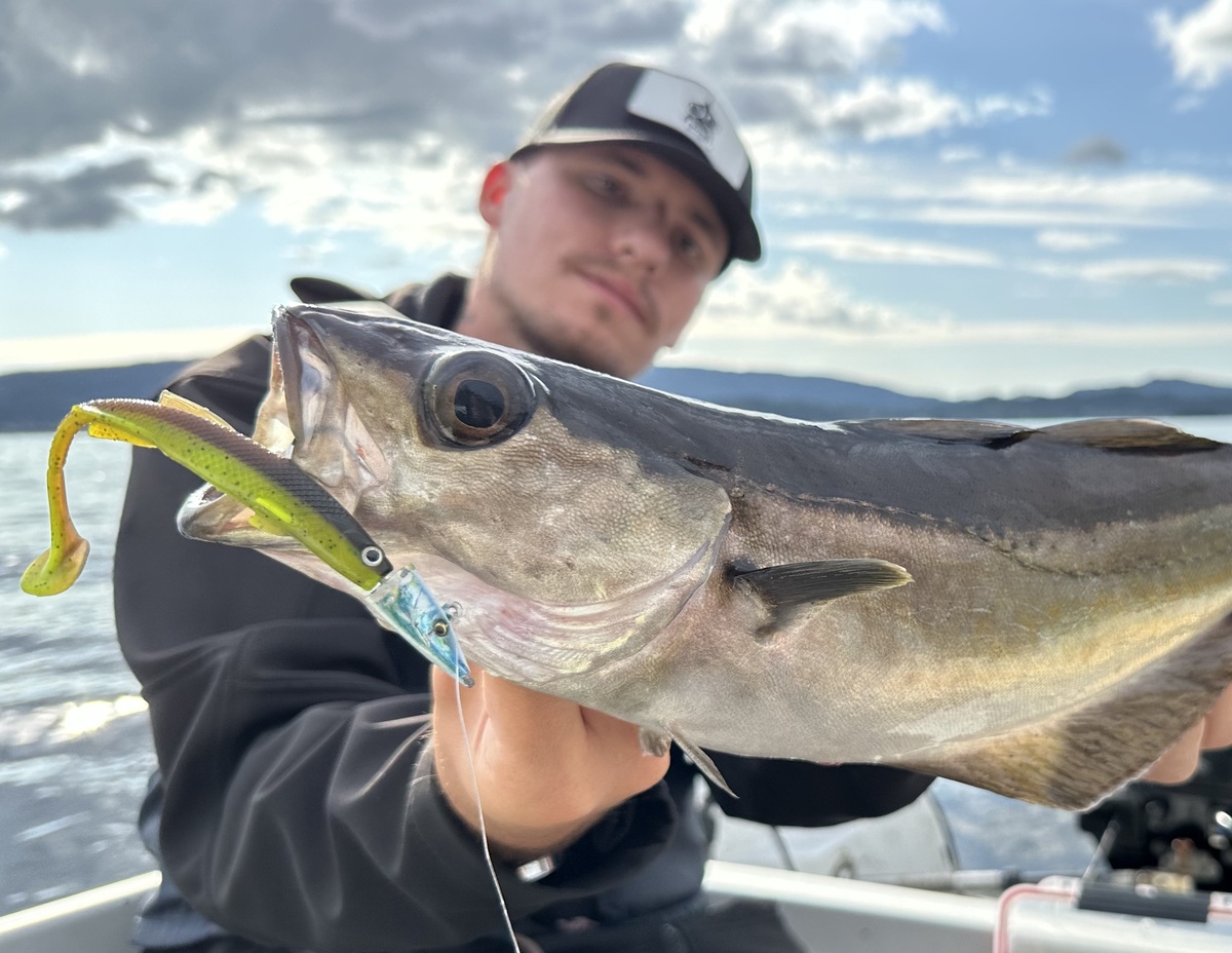 Soft Bait Fishing